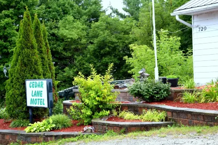 Cedar Lane Motel Отели в г. Брейсбридж