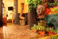 Kaclla, the Healing Dog Hostel