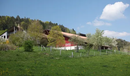 EcoHotel L’Aubier Отели в г. Ле-Локль