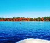 Lake Harmony Inn
