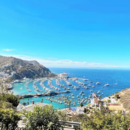 Catalina Courtyard Suites