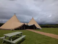 Tyncellar Farm Holiday Cottages - 4-Star