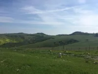 Cordella in Valdorcia Truffle and Olive Oil Resort