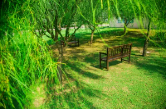 阿梅里安瑪麗亞公園飯店 住宿飯店