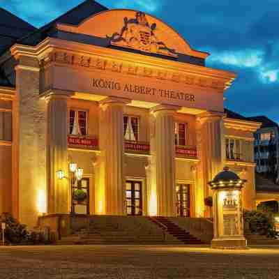 阿爾貝國王酒店 Hotel Exterior