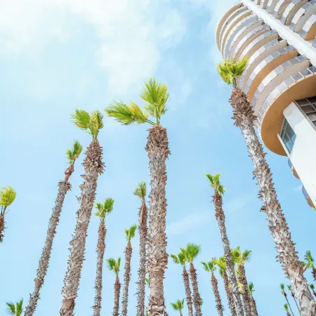 Daniel Herzliya Hotel