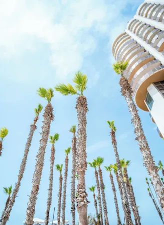 Daniel Herzliya Hotel