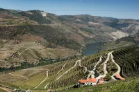 Quinta da Gricha Hotel a Favaios