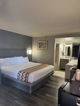 Blue Star Motel Отели в г. Бриджвью