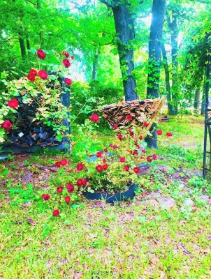 Lake Front Cabin Hotels near Pine Log Park