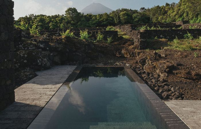 Pico Vineyards - by Unlock Hotels