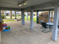 3/2 house in Galveston - 4.5 Miles West of Seawall. Only 1 minute walk to beach! Hotels near West End