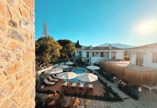 1. 딜렉 하님 코나..