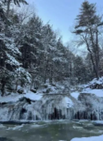 River Room overlooking the waterfall