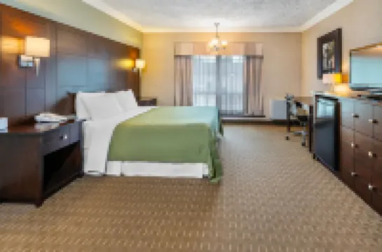 ロードウェイ イン フェスティバル