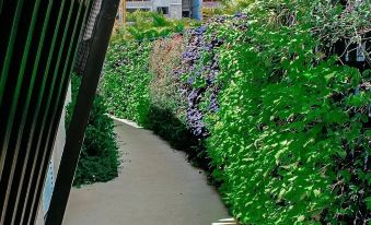 Evian Thermas Residence