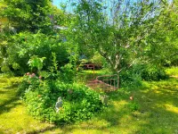 Beautiful beachside house and garden - 2 minutes from the beach!