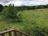 Apartment in the countryside between Quimper and Beaches