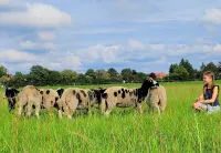 Cozy apartment with terrace in a quiet location