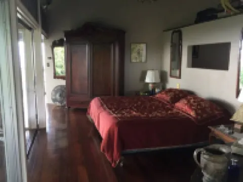 Penthouse in the jungle