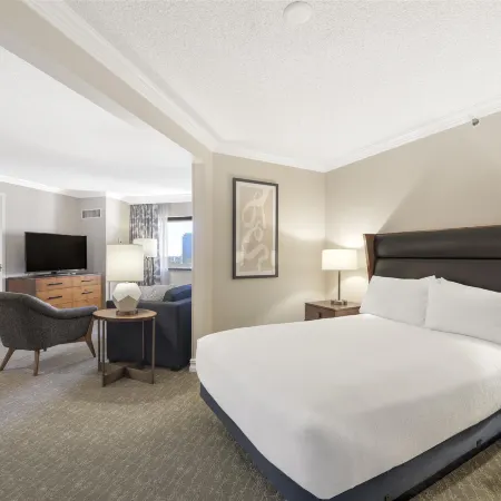 Embassy Suites by Hilton Anaheim Orange