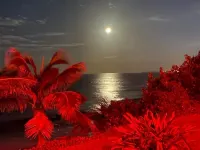 Cozy Apt: Wake to Ocean Waves / Jetted Tub