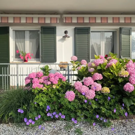 Elegant Euganean Hills apartment with garden view