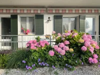 Elegant Euganean Hills apartment with garden view Hotels in Teolo