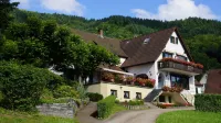 Landgasthof Grüner Baum فنادق في Sallneck