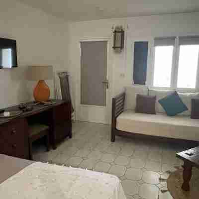 Grand Studio de 43 m2 Avec Terrasse Vous Offriront un Écrin de Verdure Rooms