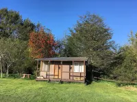 Cabin for 2 people near Castro Chiloe Chile โรงแรมใน