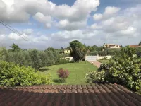 A quiet corner in the Roman countryside, among olive trees and vineyards. Hotel di Velletri