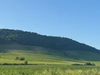 Horizon 360° Hotels in Kitzingen