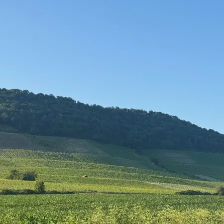 Horizon 360°