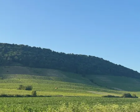 Horizon 360° Hotels in Kitzingen