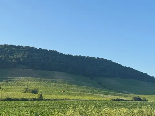 Horizon 360° Hotels in Kitzingen