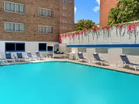 The Royal Sonesta Washington DC Dupont Circle - Rooftop Pools