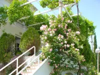 Villa Mediterranea - 3-Star