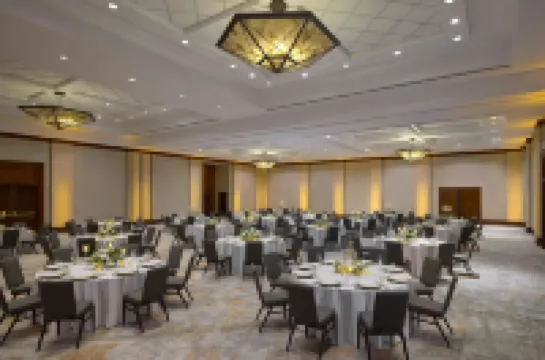 Denver Marriott South at Park Meadows Hotels in Lone Tree