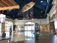 Wine, Dine, Walk! Designer Style & Prime Location Modern 1st Floor Apartment Hotels in Geneva