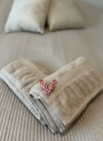 1BR Downtown Apartment with Balcony