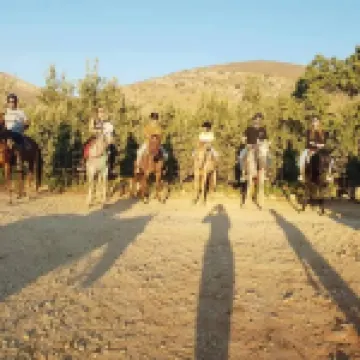 tsemrem sof aolam Hotels in Har Hanegev Hatzfoni