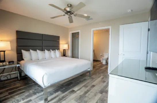 Barefoot Beach Club Hotels near Madeira Beach