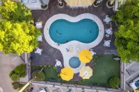 Hotel San Sebastian - Kolam Renang