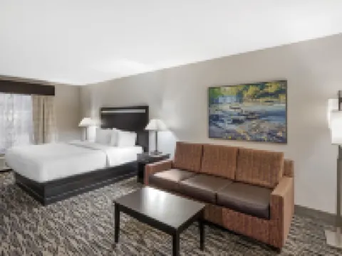 Best Western Plus McDonough Inn  Suites Hotels in Henry County