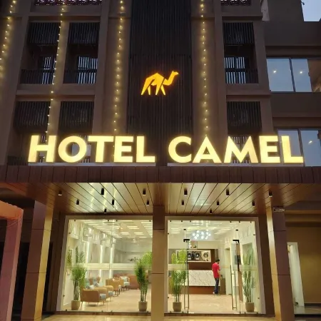 Hotel Camel managed by CLAY
