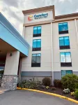 Comfort Inn & Suites Danbury-Bethel - Wifi
