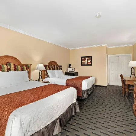 The Lemon Tree Hotel