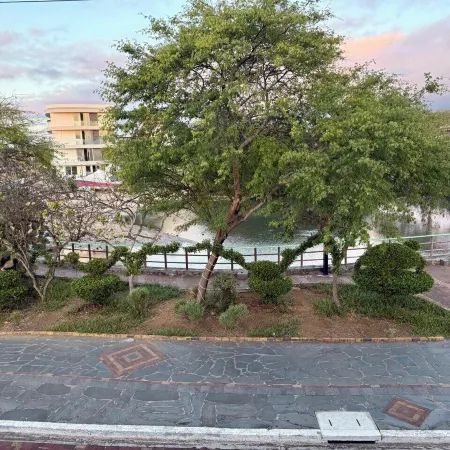 CABALLITO DE MAR