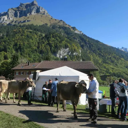 Chalet Heureka-Horbis